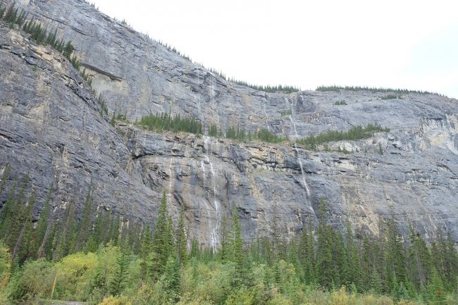 ウィーピングウォール（すすり泣く壁）<br />確かに岸壁から行く筋もの細長い滝がすすり泣くように流れ落ちていっています。<br /><br />幼少期にカナダに住んでいた友人、ここに来た記憶があるそうな（急に思い出したそうです）