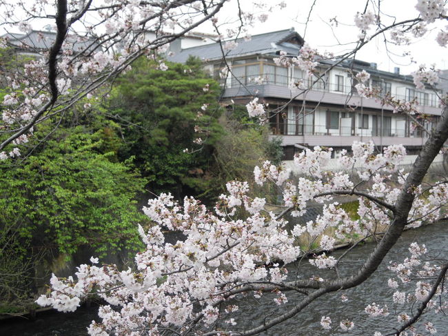 ４月<br /><br />伊東温泉へ<br />３月は仕事の都合上旅行はオヤスミ<br /><br />桜の時期にドンピシャリ！