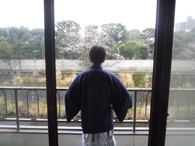 松川沿いの桜を眺められる「桐」の間<br /><br />この部屋を泊まるのに半年前・２０１５年１０月から電話しまくって勝ち取った！！<br />これで1名1泊2食￥7,800（消費税＋入湯税込￥8,574）とは安い！！！