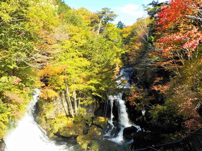 龍頭の滝<br /><br />紅葉には少し早かったけどまぁいいか。