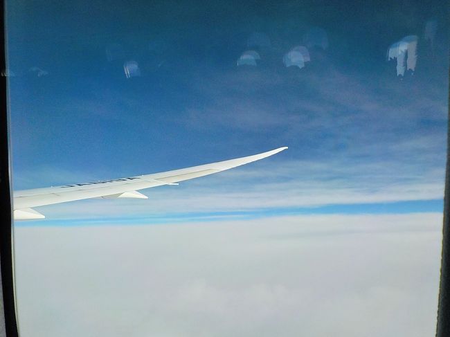 9月<br /><br />ん？！これは飛行機の中！<br />そう「ひろ★ひろ」2016年最大のイベント【沖縄離島旅行】<br />石垣島を中心に小浜島～竹富島と八重山諸島をどぉ～んと6泊7日＼(^_^)／<br /><br />ただし、前日までは台風18号が直撃してたんで不安だらけの出発だった