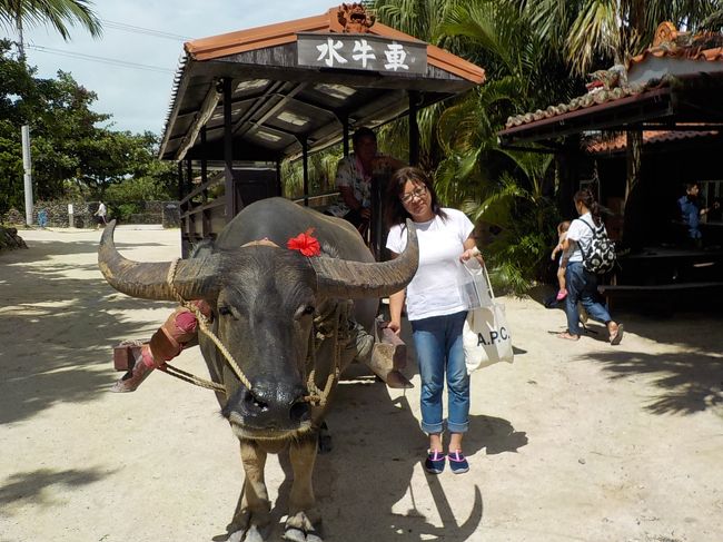 竹富島では水牛車に乗ったり自転車で散策したり海水浴したり・・・<br /><br />楽しかったナァ