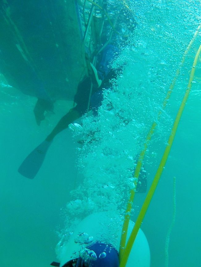 石垣島での「シーウォーク」（ダイビングみたいなもの）<br /><br />これは昨年からの宿題だったので絶対にやってみたかった！<br />水中カメラも活躍！！<br /><br />現在、石垣島内でこのアクティビティのプランを持っているのはインターコンチネンタルのみ。