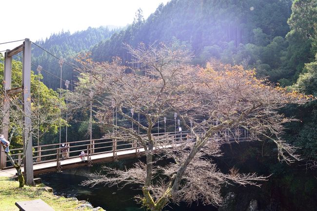 山国川に沿って下ってくると人が集まっている一角がありました。<br />山国川の猿飛甌穴群があるさるとび村です。<br /><br />