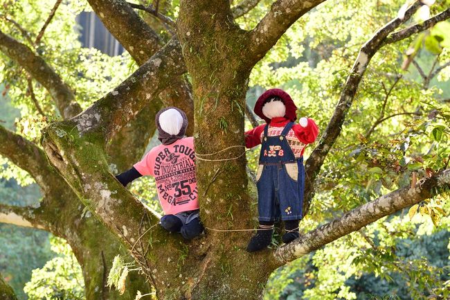 長い年月をかけ、自然の激しい渓流が造りあげた大小無数の甌穴(おうけつ)が約2kmに渡って峡底に広がっています。<br />最近では案山子も展示し、さるとび村として観光スポットとなっています。