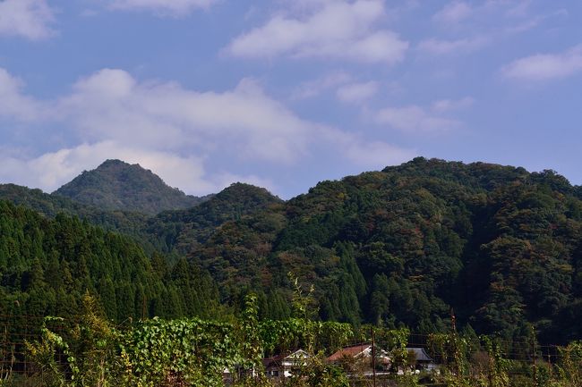 「猿飛」という名前は、その昔、山猿が現れて岩から岩を飛び回っていたことから名付けられましたそうです。