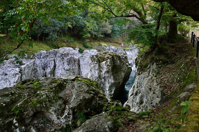 清流と河床一帯に広がる変朽安山岩、小さな石ころの三位一体で生まれた自然の造形物です。