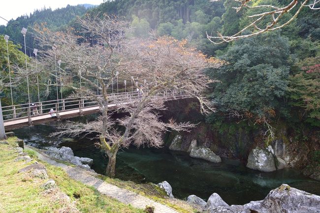 吊り橋付近の山国川