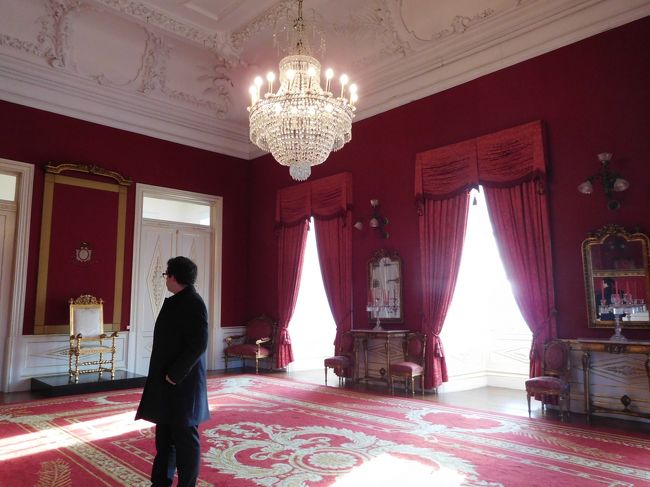 ツアー参加者は、４人（ひとりじゃなくてよかった・・）<br />私と、同年代の、カナダから来た女性３人組。<br />このお兄さんが案内、話をして廻ってくれるのだけど、カナダ人の彼女たちは、話を聞くたびにあれこれ質問して、勉強熱心なのに私は感心するばかり。<br /><br />ポルトガルの国旗と同じく、この赤い間は、湧き出る熱い血を意味する。