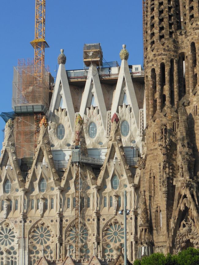 お花のような窓が沢山あるようです。<br /><br /><br />