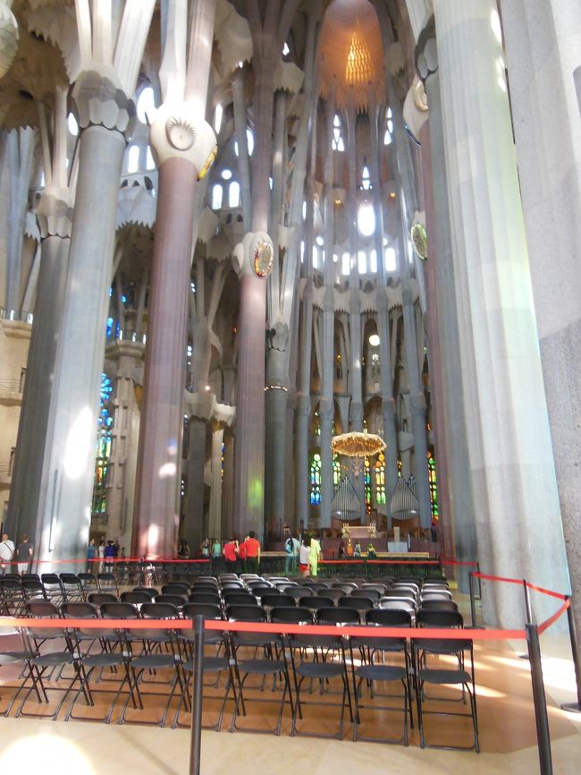 白い森の中に迷い込んだような・・<br /><br />