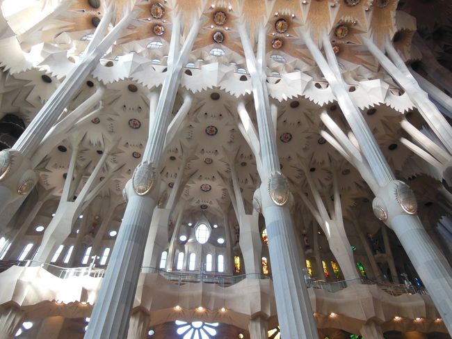 天上を見上げると、巨大な植物の下に迷い込んだような・・<br /><br />本当に不思議な感覚。<br /><br />