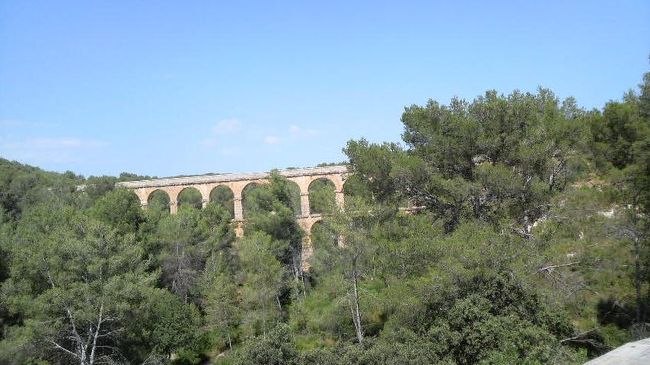 しかも、若干遠目で・・<br /><br />デジカメの電池切れの私は、携帯で撮影・・<br /><br />