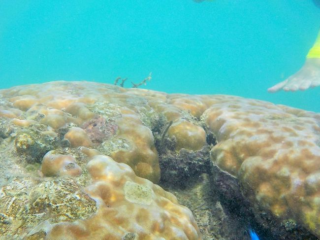 小浜島・はいむるぶしの最終日は天候にも恵まれて良かった！<br /><br />翌日は船に乗り石垣島へ