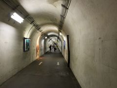 トンネル内部には、4か所の見晴所があり、各見晴所をトンネルが繋いでいる構造です。
トンネルの壁には清津峡周辺に生息するの動物の絵や四季折々の風景画等が展示されていて、トンネルを進むのにも飽きさせない工夫がしてあります。