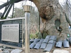 龍宮寺

行ったのは空港から専用ツアーバスで15分ぐらいの所にひっそりあるこちらのお寺。新羅文武王10年(世紀670年)に創建され、樹齢1300年のケヤキと興宣大院君の親筆扁額があることで知られているらしいですが、どう考えてもそう有名とは思えない雰囲気は出てます（笑）。

瓦に願い事とか書いて奉納するらしく、いっぱいありました。
ここ仁川はソウル中心部からかなり離れているため（多分関空みたいに埋め立てて作ってる感じ）1時間でさくっと行ける場所を探したら、ここしかなかったんだろうなって感じです。韓流に一切興味無いので、正直面白みは一切無かったですけど、無料だし、外に出て気分転換ってのにはいいかと思います。

 ちなみに冬の韓国は寒いときいていたのでびびりまくっていましたが、この日は暖かくて良かったです。