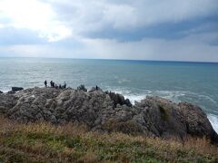 これかー、東尋坊の柱状節理・・・。

もっと高さがあるものと想像していたのですが、