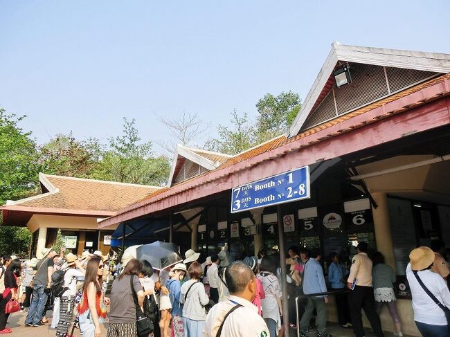 さ～いよいよアンコールワット観光へ。<br />今回は現地は完全フリー。アンコールワットは、あの有名な建物だけじゃなくて、他にもた～くさんの遺跡があるってことなので、ツアーに参加した方がガイドもつくし、効率的にも良いってことで、ネットで現地のアンコールワットツアーを検索。<br /><br />ダンスショーの夕食付とか朝日鑑賞とかもついてくるお得なツアーもあったのですが、到着深夜で翌日4時起きはちょっと辛いし(朝は良いけど昼間暑さで疲れそう)グループツアーだと見られないかもしれない場所とかもあるみたいなので、そこそこゆったりできる<br /><br />【アンコール・ワット＋トム＋タ・プロム貸切チャーター観光ツアー】<br /><br />という、専属ガイド(日本語を話すカンボジア人)と専用車（セダン車運転手付）でまわる、セミプライベートツアーを予約。<br /><br />朝7時前に起きて朝食。8:30にガイドさんとロビーでおちあい、出発。<br /><br /><br />町を出て、車で15分ぐらいでまずこちらのチケット売り場へ。<br />遺跡観光用のパスを買います。<br />ここチケットを買えば、アンコールワット以外の遺跡にも(一部を除き)入ることができます。<br /><br />1日20ドル。カンボジアの物価からすると恐ろしく高いと思いますが、なんとカンボジア人は無料。(なのでガイドは皆カンボジア人なのかな～とか思ってました)<br /><br />3日間チケットが40ドルなので、そちらを購入。<br />（チケット代はツアー代金に含まれません）<br /><br />ブースで写真を撮られてチケットに印刷たものを渡されます。<br />私たちはガイドさんがストラップケースをくれたのでそれに入れて終始首からぶらさげてました。<br />各遺跡で結構しっかりチェックされますので失くさないように。<br /><br />さぁ、まずはアンコールトムからスタートです