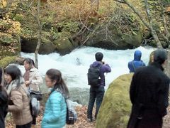 奥入瀬渓流
バスの車窓より