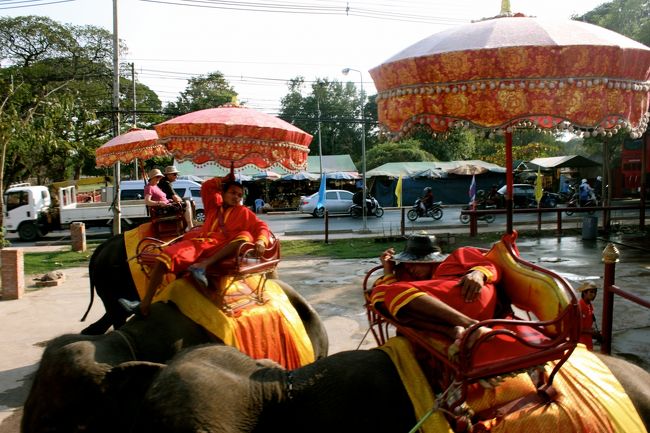 像に乗っちゃいました！<br />普通に歩道・車道歩いてます。<br />象使いの方がとってもイケメン。<br />これにてオプショナルツアー終了。<br />