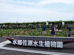 香取神宮に参拝した後は、水郷佐原水生植物園へ。