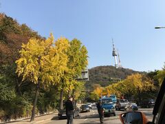 タクシーに乗って新羅ホテルに向かいます。
ソウル駅から南山を越えて行ったので、車中からイチョウ並木を見ることが出来ました。
急に寒くなって来たようだが、紅葉のピークはもう少し先といったところ。