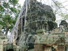 はい、そしてこちらが午前のハイライト。
ジャヤヴァルマン7世が、母親のために12世紀末に建てた仏教寺院、タプロームです。(後にヒンドゥー教寺院に改修)

この木の浸食感が独特の雰囲気を出してるんですね～。

映画「トゥーム・レイダー」の撮影が行われたことで一躍有名になったため、めちゃくちゃ観光客、多いです。