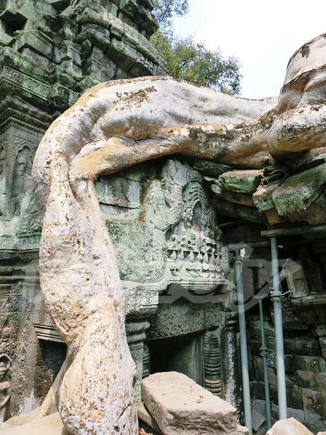 一部遺跡の崩壊を防ぐため、修復、というか、こうして人の手が加えられてます