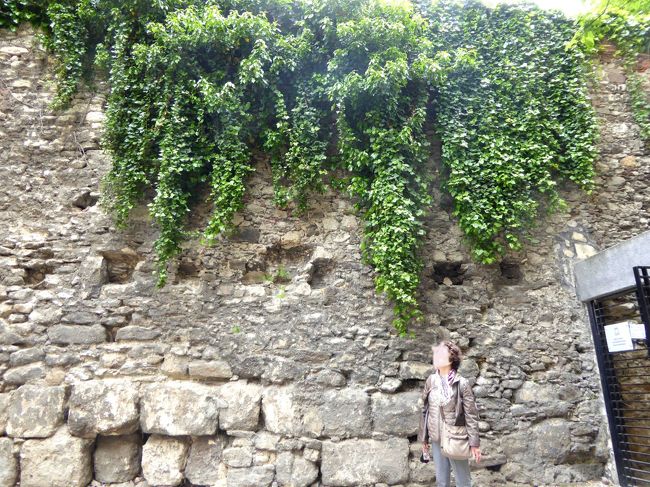 I女史は上から垂れ下がったみごとなツタにいたく感激のご様子。<br /><br />ほんとにこの「城壁廻り回路」、旧市街とは一味違った「オアシス」のよう。<br />ショプロンにいらっしたらぜひお薦めです。