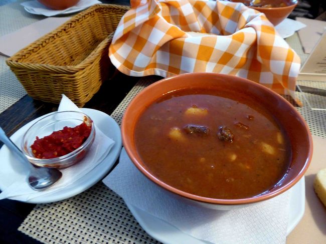 メニューは読めませんので、私が唯一知っているハンガリーのお料理「グラーシュズッペ」を注文。<br />これにパンが付いてきましたので、シニアにはちょうどいい量です。<br /><br />このグラーシュ、後日シニア3人で反省会をやった時、とても美味しかったと大好評でした。<br />