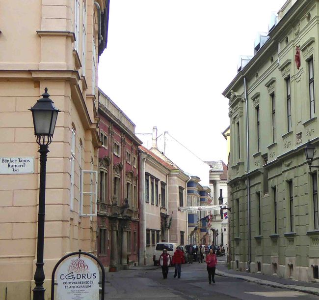 名産ワインとハンガリー料理のグラーシュもいただいたし、ぼちぼち歩いて駅に向かいます。<br /><br />レストランからガッセに入るこの通り、さっき通った道ですね。<br />左側のバラ色のお屋敷はリストがコンサートを開いた館、そのお隣は森林博物館、ここにハイドンの銘碑がありました。<br />その奥のブルーの館はエステルハージ宮殿。<br />