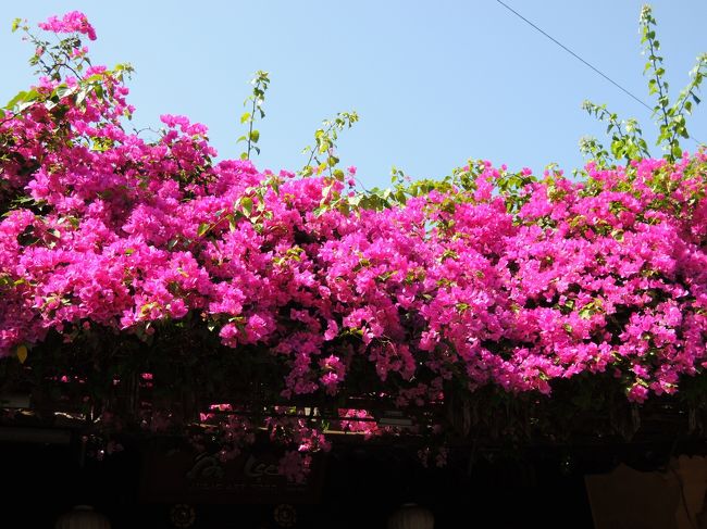 が、まぶしー(´+ω+｀)ﾖｲﾃﾝｷ