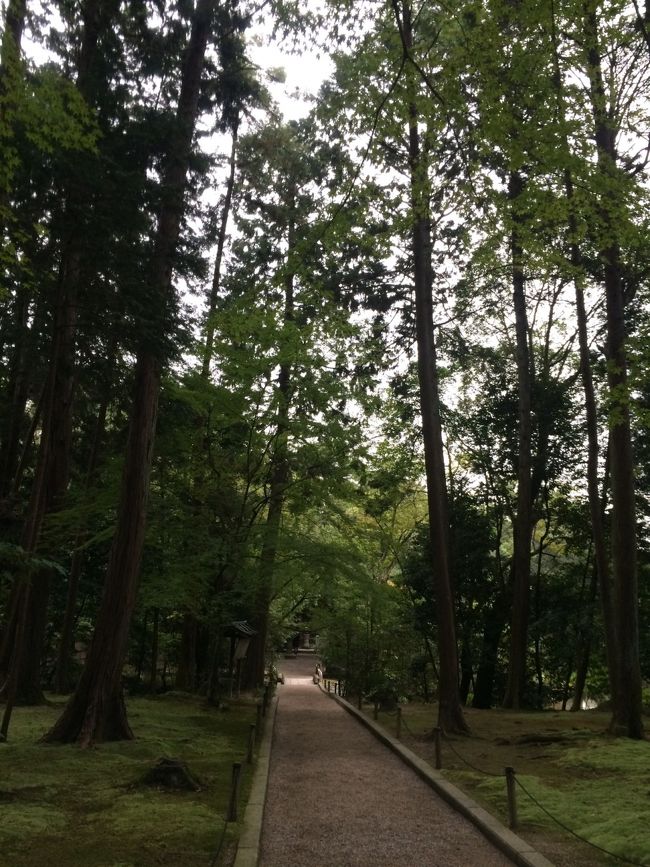 この先に鑑真のお墓があります。<br />ここから先はちょっと雰囲気が変わりました。