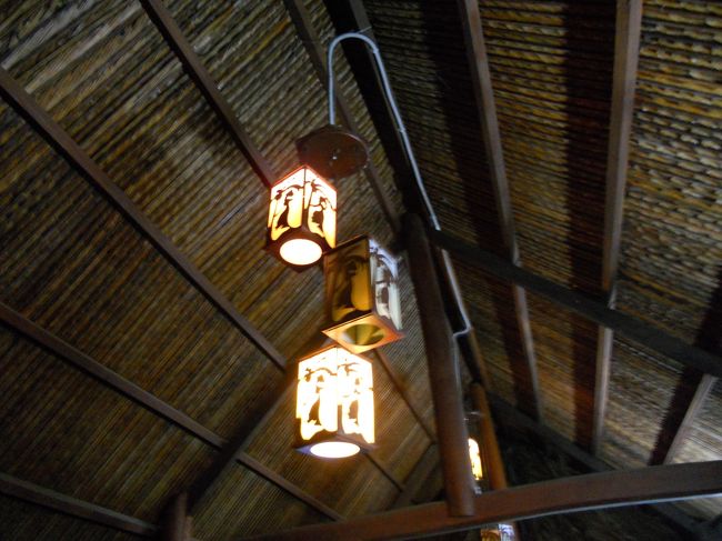 蛍を見るために、暗くなるのを待つ。<br /><br />観光客はうちら2人のみ。静か。天井のランプがとっても素敵。<br /><br />ゲッコーがうろうろ。