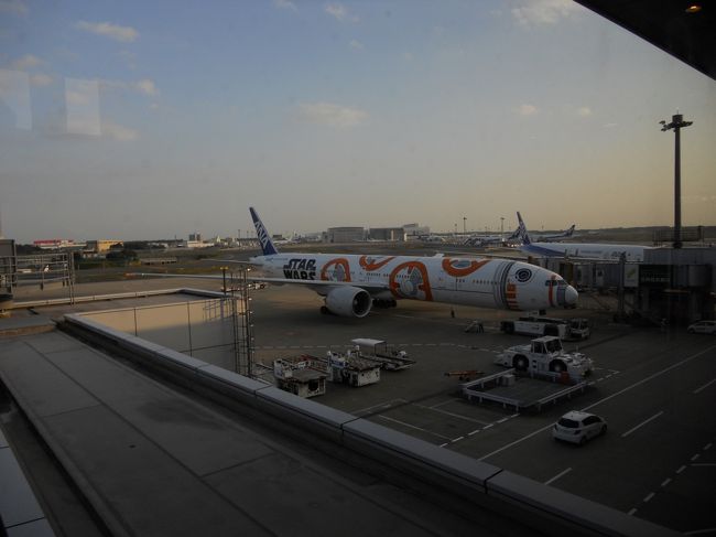 １５：１０成田着。<br />ＡＮＡのスターウォーズ機発見。<br /><br />よく歩いて、よく食べて、よく飲んだ。<br />また、どっかに行こう！<br /><br />追記<br />帰国後、5日目に夫が発熱。インフルエンザ反応は無し。解熱剤飲んでも、下がらない。<br />メコン川で、蚊にさされていたので、本当にデング熱じゃないかと焦る。<br />結局、全然別の病気がわかり、それはそれで大変…(^_^;)<br /><br />しっかり虫除け対策していったのに…。虫除けスプレーは、薬剤がかかってる場所は刺されないけど、薬剤がかかってないすき間や顔、服の上からは刺されてしまう。<br />テレビで見たけど、一番効くのはハッカ油らしい。蚊は、この臭いが嫌いみたい。<br />持参してたので、半信半疑で、蚊が飛び回る中つけてみる。すぐに、いなくなった(^-^)/スゴイ!!<br />そのまま、手首足首に、ちょんちょんとつけただけです。<br /><br /><br />