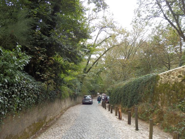 シントラはリスボン・ポルトと打って変わってこんな感じの山道がほとんどです。日本でいう軽井沢とか僕の好きな山中湖あたりが近いかと。<br />空気もひんやりしていて、ハイシーズンには良い避暑地だと思います。