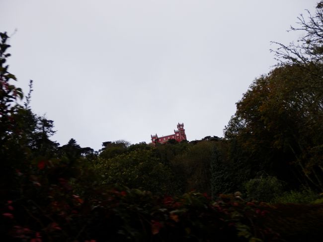 と、山道を少し歩いていると、何やら頂上に見えてきた。。。！