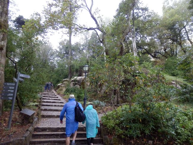 ちなみに宮殿ふもと～チケット売り場までの道はこんな感じ。<br />完全に森の中。