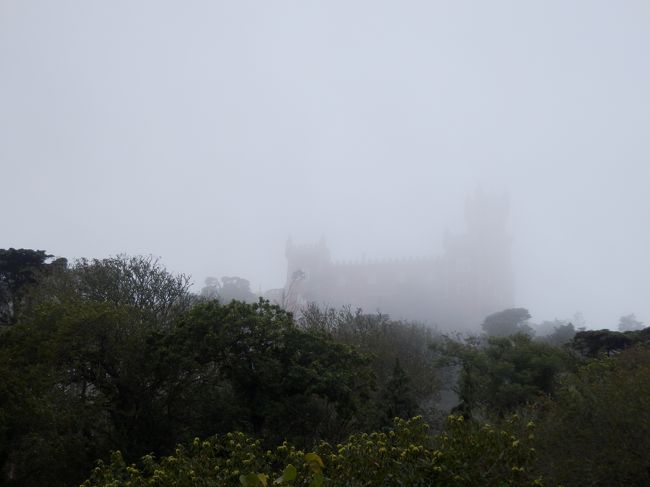 山道を基に引き返している途中、霧で何とも幻想的なペーナ宮殿ショットがとれました。