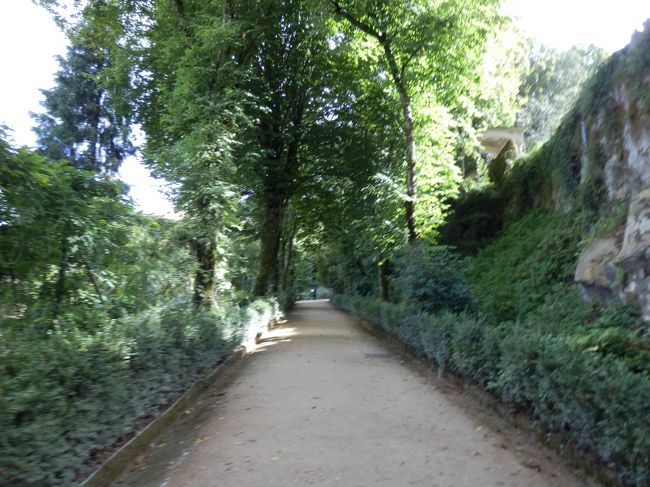 ベルサイユとかには遠く及ばないまでも、ここの庭もものすごく広いです。。！<br />森の道を引き続きひたすらダッシュ！