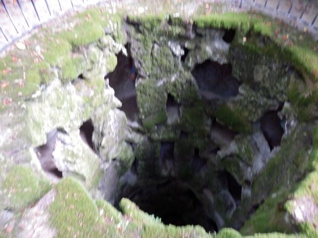 すると出ました！<br />庭探索の一番の目的だった井戸＆洞窟！<br />真っ暗な階段をひたすら下ると、、、？