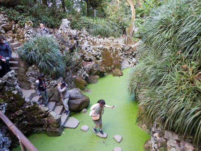池の上は飛び石で渡ることができます。この探検感がたまらない！<br />写真では緑の地面のように見えますが、石の周りは全部池なので、落ちたらビショビショですよ～