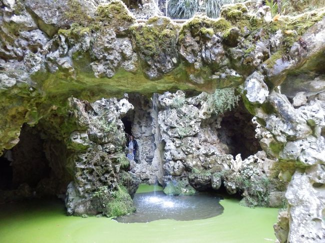 こちらが飛び石からみた池＆滝＆洞窟。<br />何度も言うけどfantasy！！