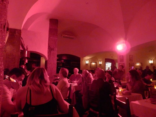 料理を食べていると照明が変わってファドがスタート！<br />だいたい食事と食事の合間に一人の歌い手が３曲計15分くらいを歌っていました。感想として単純に演奏も歌もすごく上手い！マイクとか一切使わないのに声量がハンパじゃない！さすが海外の音楽文化は別格です。<br />哀愁漂う民謡音楽とお酒に酔わせてもらいました！