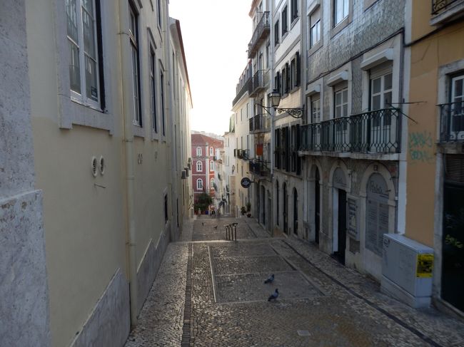 すっかり歩き慣れた街並み。