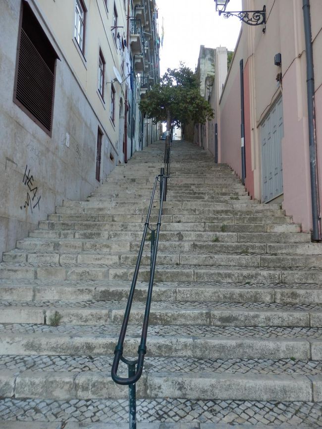 時刻は8：15<br />飛行機の時間から逆算して、市内観光に残された時間はお土産買いなども含めて３時間強。<br />やり残した順に駆け足でまわっていきます！<br /><br />まずは初日からずっと行けていなかったグラサ地区の展望台を目指します！<br />写真はフィゲイラ広場を越えてグラサ方面に行く時の階段。<br />いきなりきつい。。。