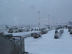 ヘルシンキヴァンター国際空港。
雪は降りやむことなく・・・
時間通りに搭乗を開始したものの離陸は１時間遅れ、
乗り継ぎに間に合わず。
でも、振り替えの便は１時間以内だったので、
それほど遅れず家に辿り着いた。