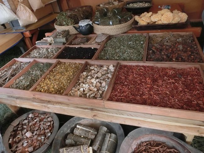 百済の市、再現コーナー<br /><br />変に演劇調にせず、ふつうにしているだけで、実写版百済の人々と情景の再現に成功しており、情報量は莫大。この文化フェスティバル、考えた人、素晴らしいです。