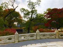 紅葉も色づき始めてます。