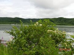 達古武湖の横を通って釧路に行きます。
細岡展望台から釧網本線の線路を2回横切り、
未舗装の道をゆっくり走りました。
夏なのに寒そうな景色です。
時間があれば達古武木道を歩く予定でしたが、
時間はあったが歩きたくないのでパス。